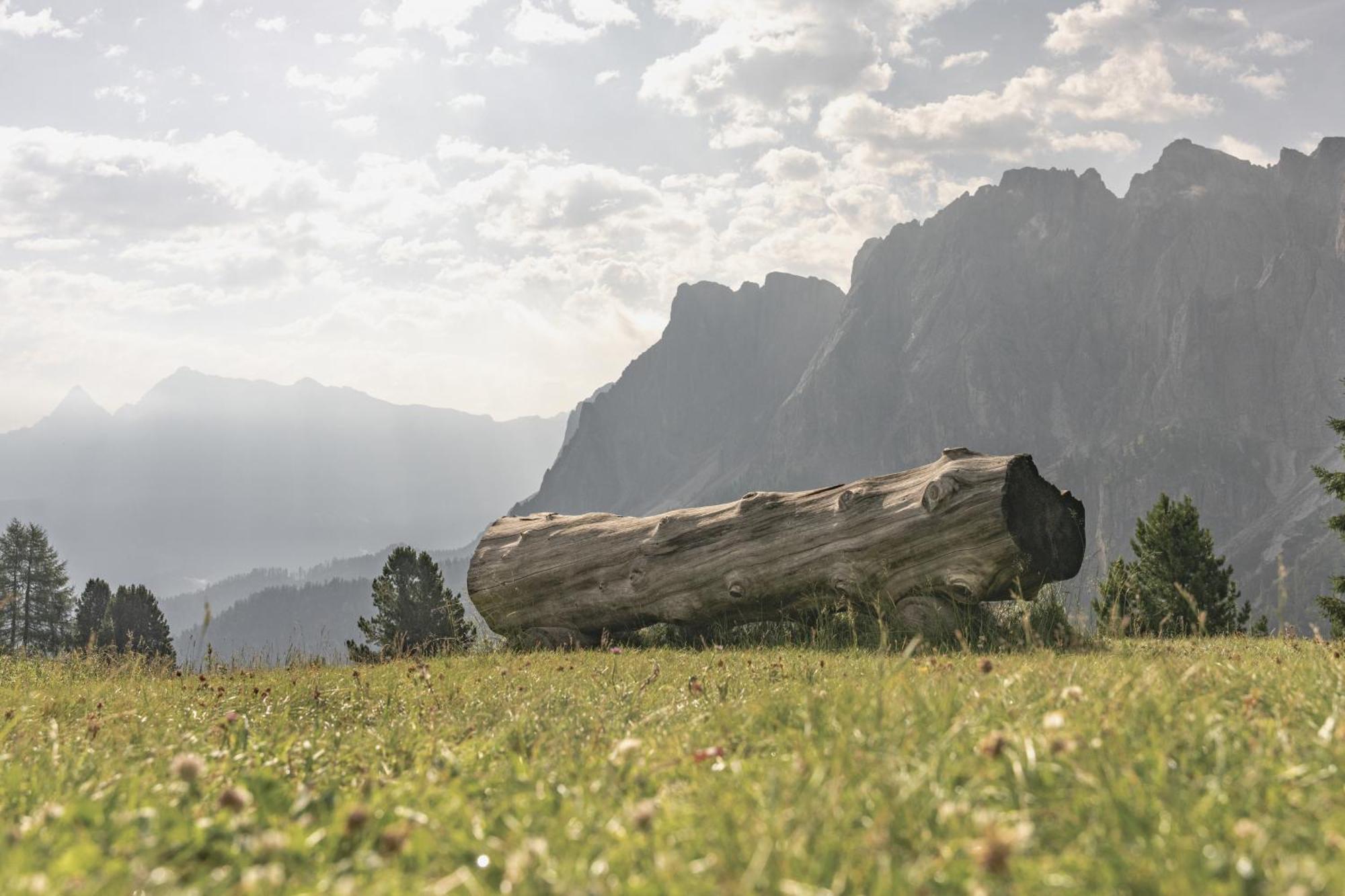 Ciasa Iachin - Dolomites Dream Retreat Διαμέρισμα San Martino in Badia Εξωτερικό φωτογραφία