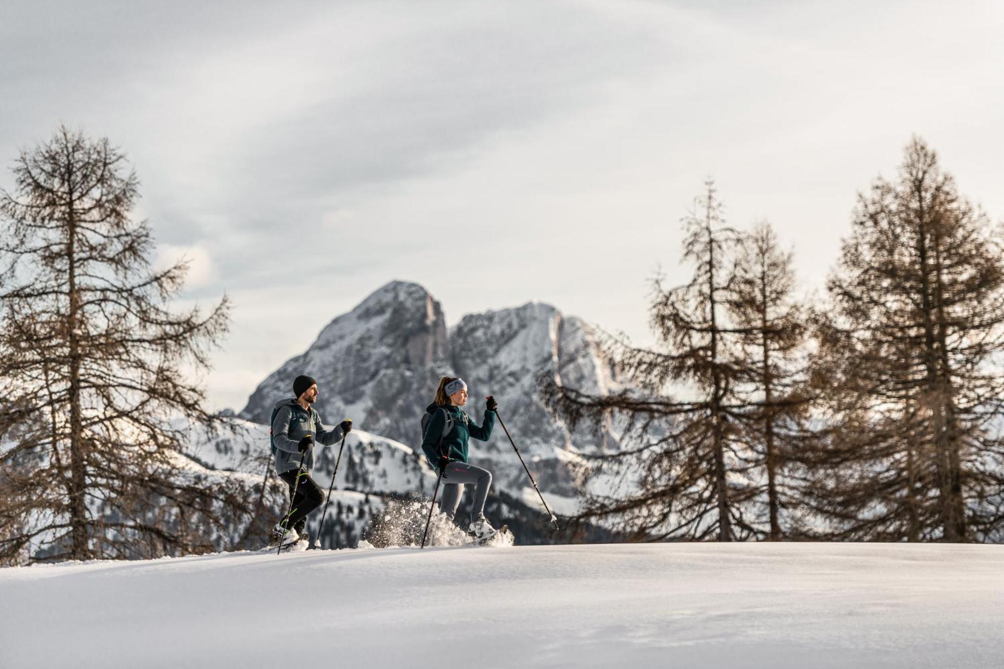 Ciasa Iachin - Dolomites Dream Retreat Διαμέρισμα San Martino in Badia Εξωτερικό φωτογραφία