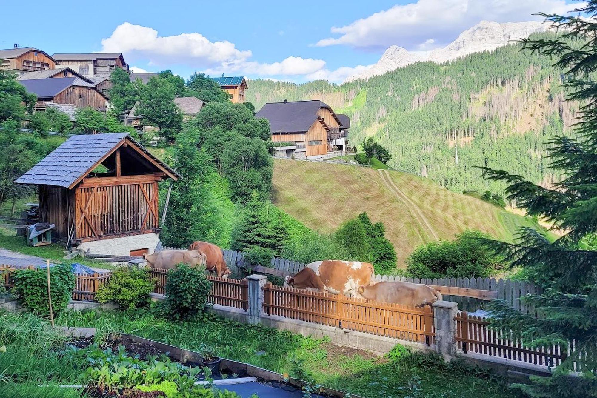 Ciasa Iachin - Dolomites Dream Retreat Διαμέρισμα San Martino in Badia Εξωτερικό φωτογραφία