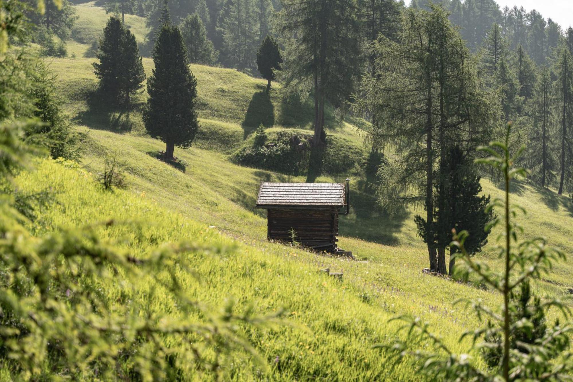 Ciasa Iachin - Dolomites Dream Retreat Διαμέρισμα San Martino in Badia Εξωτερικό φωτογραφία