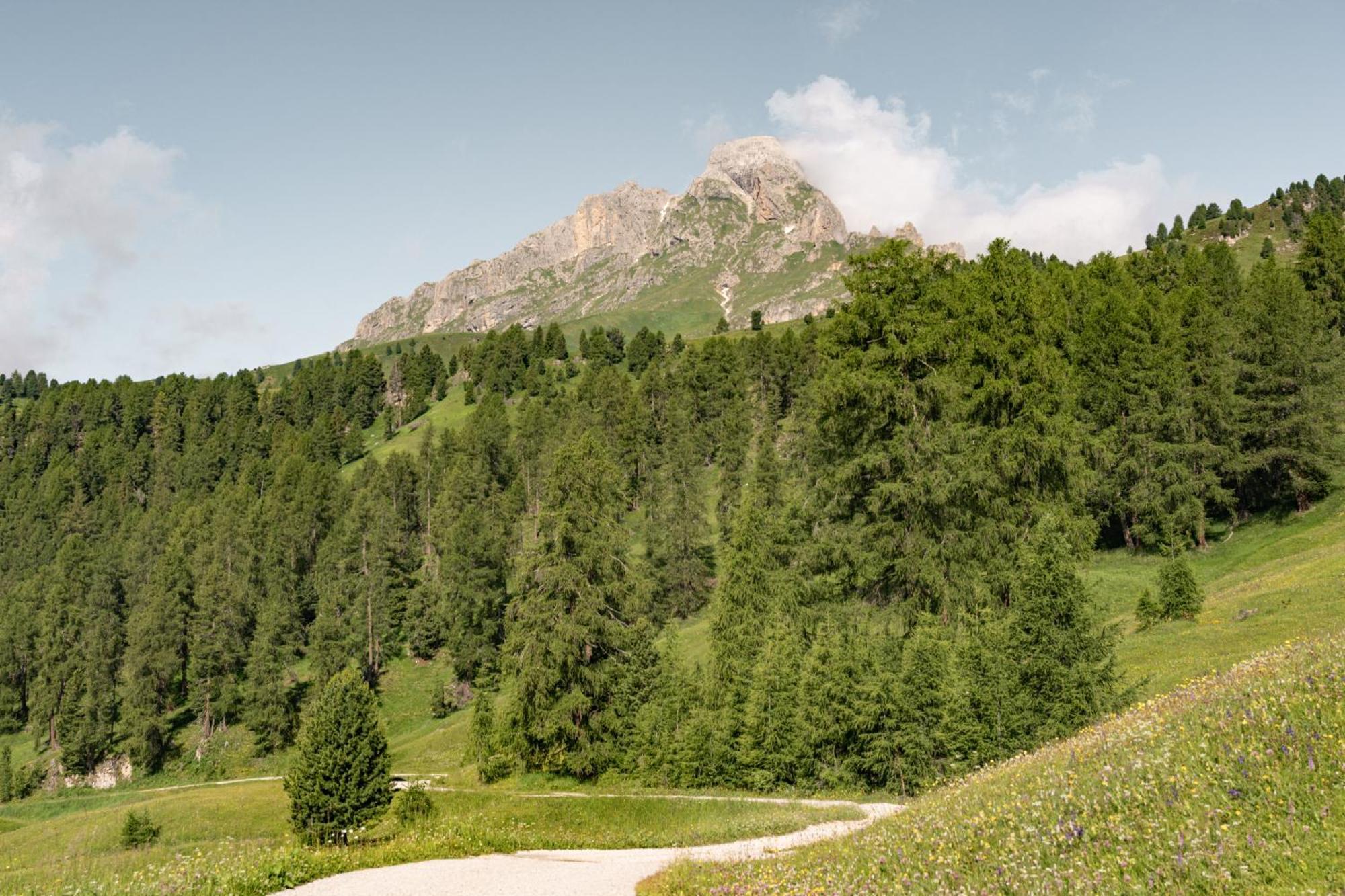 Ciasa Iachin - Dolomites Dream Retreat Διαμέρισμα San Martino in Badia Εξωτερικό φωτογραφία